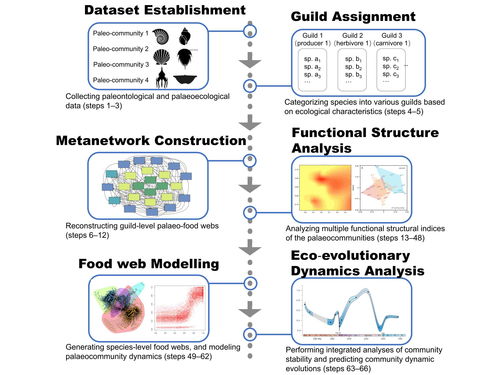 科學(xué)研究，技術(shù)先行——我校研究團(tuán)隊創(chuàng)新研發(fā)生態(tài)模擬方法體系
