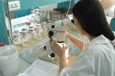 這4大“冷門”專業，畢業就遭公司瘋搶！生物技術研究與開發異軍突起