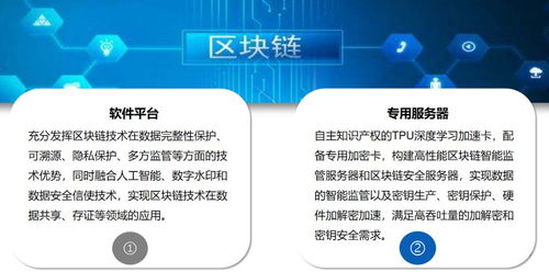 中央一號文件 科技賦能農業(yè)，第五代網絡技術與人工智能物聯網引領新時代農業(yè)網站建設